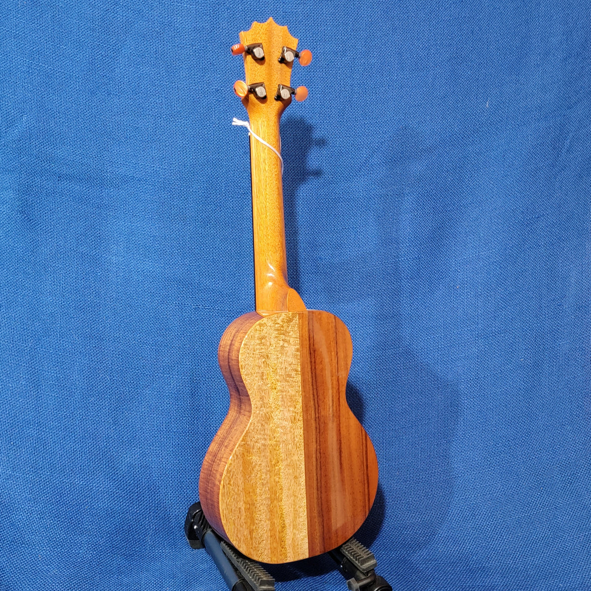 KoAloha Concert Naupaka All Solid Koa & Mango KCNP-00 Gloss