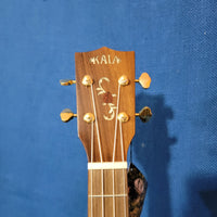 Liquidation: Kala Tenor KA-SPT-SC Solid Bearclaw Spruce Top / Pau Ferro Scallop Cutaway Gloss Ukulele p238