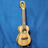 Ohana Concert CK-450SMP All Solid Figured Spalted Maple Ukulele p634