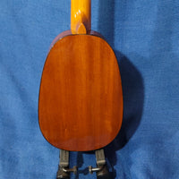 Ohana Concert Pineapple PKC-50G All Solid Cedar / Mahogany Ukulele P651