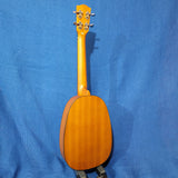 Ohana Tenor Pineapple PKT-14 Laminate Mahogany with Binding Ukulele P694