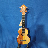 KoAloha Concert Naupaka All Solid Koa & Mango KCNP-00 Gloss Made in Hawaii Ukulele w/Hardcase P764