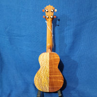 KoAloha Concert Naupaka All Solid Koa & Mango KCNP-00 Gloss Made in Hawaii Ukulele w/Hardcase P764