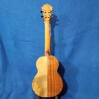 KoAloha Concert Naupaka All Solid Koa & Mango KCNP-00 Gloss Made in Hawaii Ukulele w/Hardcase P766