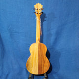 KoAloha Concert Naupaka All Solid Koa & Mango KCNP-00 Gloss Made in Hawaii Ukulele w/Hardcase P769