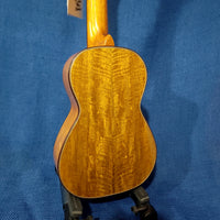 Ohana Concert CK-220G All Solid Mango Gloss Ukulele h321