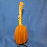 Ohana Tenor Pineapple PKT-14 Laminate Mahogany with Binding Ukulele h511