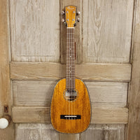 Ohana Tenor Pineapple PKT-220G All Solid Mango Ukulele h750