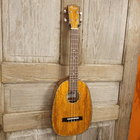 Ohana Tenor Pineapple PKT-220G All Solid Mango Ukulele h750
