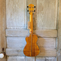 Ohana Concert CK-260GCE All Solid Cedar / Acacia A/E Cutaway Ukulele h752