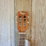 Ohana Concert CK-250G All Solid Spruce / Acacia Slotted Headstock Ukulele h754