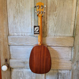 Ohana Tenor Pineapple PKT-70G All Solid Spruce / Mahogany Gloss Ukulele h757