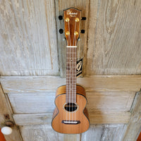 Ohana Concert CK-260G All Solid Cedar / Acacia Ukulele h787