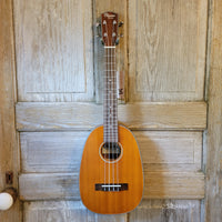 Ohana Tenor Pineapple PKT-14 Laminate Mahogany with Binding Ukulele h789