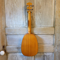 Ohana Tenor Pineapple PKT-14 Laminate Mahogany with Binding Ukulele h789