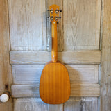 Ohana Tenor Pineapple PKT-14 Laminate Mahogany with Binding Ukulele h789