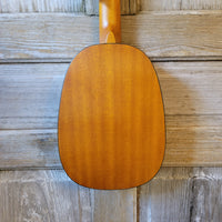 Ohana Tenor Pineapple PKT-14 Laminate Mahogany with Binding Ukulele h789