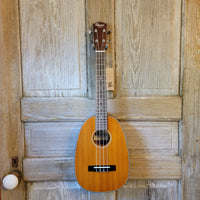 Ohana Tenor Pineapple PKT-14 Laminate Mahogany with Binding Ukulele h790