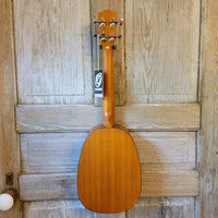 Ohana Tenor Pineapple PKT-14 Laminate Mahogany with Binding Ukulele h790