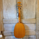 Ohana Tenor Pineapple PKT-14 Laminate Mahogany with Binding Ukulele h790