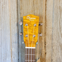 Ohana Tenor TK-15WG Laminate Willow Gloss Ukulele h792