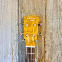 Ohana Tenor TK-15WG Laminate Willow Gloss Ukulele h794