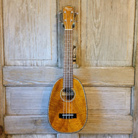 Ohana Concert Pineapple PKC-220G All Solid Mango Ukulele h811