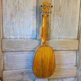 Ohana Concert Pineapple PKC-220G All Solid Mango Ukulele h811