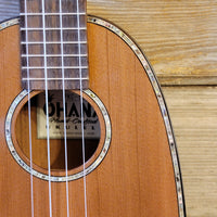 Ohana Concert Pineapple PKC-50G All Solid Cedar / Mahogany Ukulele h828