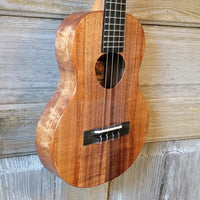 KoAloha Tenor Slimline All Solid Koa KTM-S00 Gloss Ukulele w/ Thinline Hard Case h830