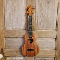 KoAloha Concert Pikake All Solid Koa KCM-10 Satin Made in Hawaii Ukulele w/ Hardcase h843