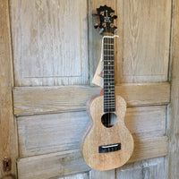 KoAloha Concert All Solid Mango KCM-00MG Gloss Made in Hawaii Ukulele w/ Hardcase h848