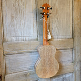 KoAloha Concert All Solid Mango KCM-00MG Gloss Made in Hawaii Ukulele w/ Hardcase h848