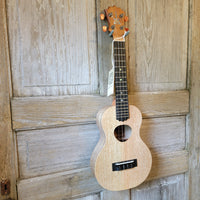 KoAloha Concert All Solid Mango KCM-10MG Pikake Satin Finish Made in Hawaii Ukulele w/ Hardcase h851