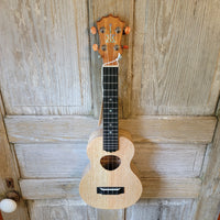 KoAloha Concert All Solid Mango KCM-10MG Pikake Satin Finish Made in Hawaii Ukulele w/ Hardcase h851