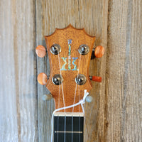 KoAloha Concert All Solid Mango KCM-10MG Pikake Satin Finish Made in Hawaii Ukulele w/ Hardcase h851