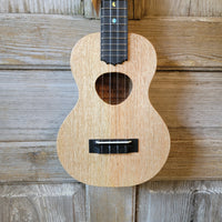 KoAloha Concert All Solid Mango KCM-10MG Pikake Satin Finish Made in Hawaii Ukulele w/ Hardcase h851