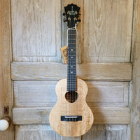 KoAloha Tenor All Solid Mango Gloss KTM-00MG Made in Hawaii Ukulele w/ Hardcase h857