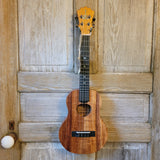 KoAloha Tenor Slimline Pikake All Solid Koa KTM-S10P Satin Finish with LR Baggs Pickup Ukulele w/ Thinline Hard Case h860
