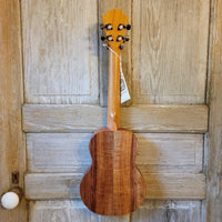 KoAloha Tenor Slimline Pikake All Solid Koa KTM-S10P Satin Finish with LR Baggs Pickup Ukulele w/ Thinline Hard Case h860