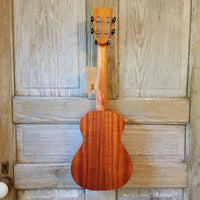 Ohana Concert CK-32 All Solid Mahogany with Fretboard Inlay Slotted Headstock Ukulele h869