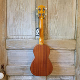 Ohana Concert CK-14 Laminate Mahogany Matte with Binding Ukulele h871