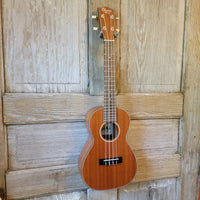 Ohana Concert CK-14 Laminate Mahogany Matte with Binding Ukulele h872