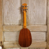 Ohana Concert Pineapple PKC-70G All Solid Spruce / Mahogany Ukulele h904