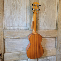 Ohana Concert CK-14E-CL Cynthia Lin Model Laminate Mahogany A/E Pickup Ukulele w/ Bag h975