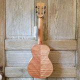 Ohana Concert CK-180M Laminate Figured Okoumé Slotted Headstock Ukulele h977