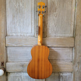 Ohana Tenor TK-14 Laminate Mahogany with Binding Ukulele h982