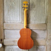 Ohana Tenor Starter Pack TK-10 Laminate Mahogany Ukulele Bag, Tuner, Strap, Button v030