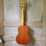 Ohana Tenor Starter Pack TK-10 Laminate Mahogany Ukulele Bag, Tuner, Strap, Button v030