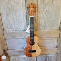 KoAloha Concert Naupaka All Solid Koa & Mango KCNP-00 Gloss Made in Hawaii Ukulele w/ KoAloha Hardcase P741